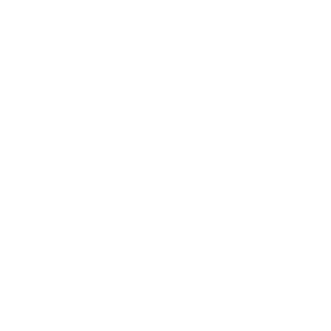 Seguridad proyecto icono